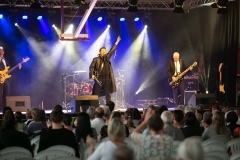 Tribute BRUEL