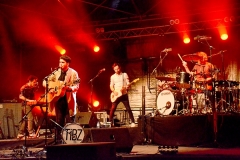 TIBZ