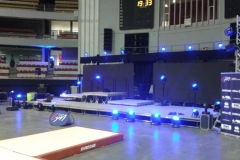 TOP 12 Gymnastique - Lyon