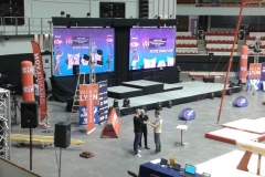 TOP 12 Gymnastique - Lyon